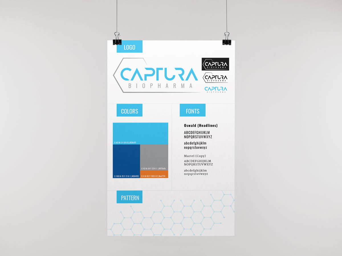 Captura Style Guide